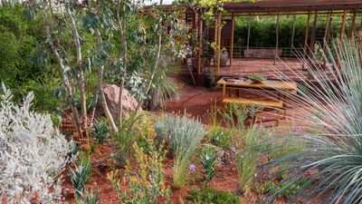 The Toughest Fire-Resistant Plants for Challenging Yards – 7 Varieties That Survive Extreme Heat and Potential Fire Sparks