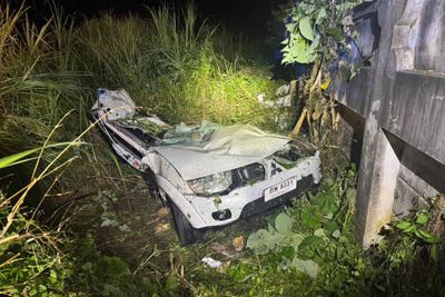 Partygoer driver dies in crash on way home