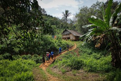 How missing hiker survived for two weeks in Malaysian mountains