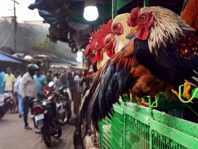 Varanasi Municipal Corporation moves to relocate meat, fish markets in phased manner