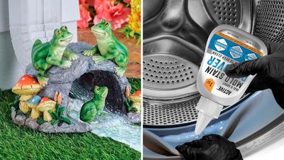 50 gross mistakes you don't realize you're making in your home & backyard