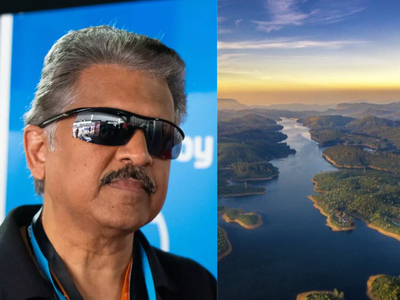 Anand Mahindra reveals hidden travel spot in Tamil Nadu that's like 'Munnar 30 years ago': How to visit, best time and more