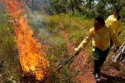 In Brazil’s Cerrado region, Indigenous fire practices reshape wildfire strategy