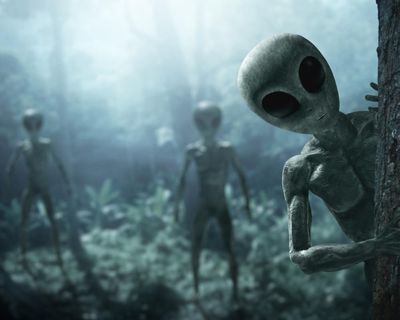 Readers reply: If an alien asked you: ‘What is music?’ what would you play for them?