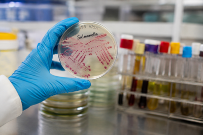 CDC Expands Salmonella Warning as Outbreak Spreads to 119 Cases Across 36 States