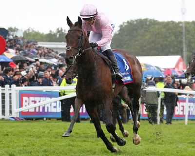 Christmas Day backers left short-changed by Derby’s non-runner ruling