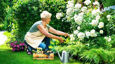 The Summer Gardening Shortcut Retirees Say Saves Them Hours Every Week
