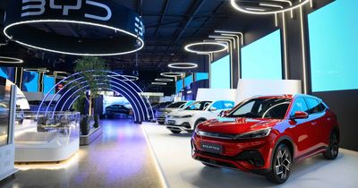 Should public servants be banned from driving Chinese cars?
