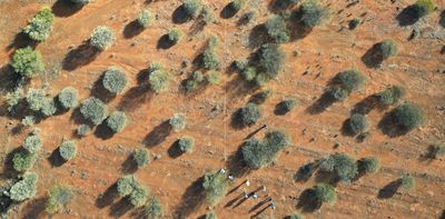 Are Australia’s carbon farming schemes just hot air? Hardly – forests are regrowing almost everywhere
