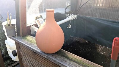 I just spent $25 on a garden must-have that waters my plants naturally — saving me the effort