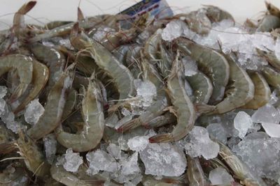 Malaysia's ban sparks market hunt