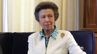 Princess Anne was 'really cool' when she broke protocol during portrait sitting: 'She's a seriously impressive person'