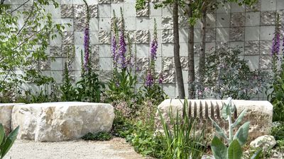 Biennial Flowers to Sow in June – 7 Low-Maintenance Plants To Fill a Crucial Gap in Your Garden