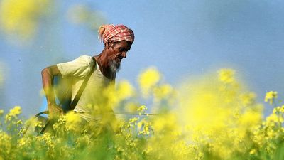 The farm failures keeping India hooked on imported oil