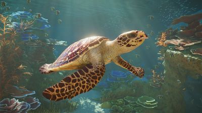 Planet Zoo 2's gameplay reveal shows how to manage the new aquariums and aviaries