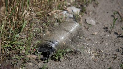Ukraine’s birds adapt to battlefield environment, weaving nests out of drone fiber-optic cables — resourceful wildlife adapts to miles of littered drone fibers