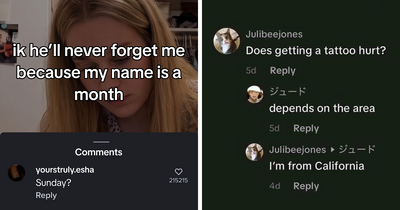 “Hippo Crisps”: 47 Wild TikTok Screenshots That Cost Readers Several Brain Cells (New Pics)