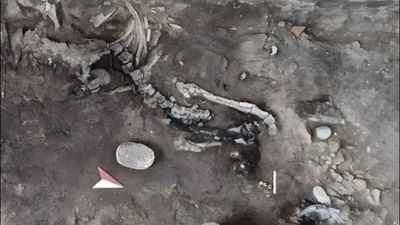 Two skeletons found inside a Pompeii bakery may be the key to an unsolved eruption mystery hidden beneath for nearly 2,000 years