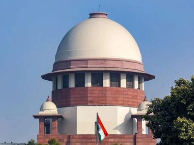 'Physical relationship between consenting unmarried adults no ground to show poor character': Supreme Court