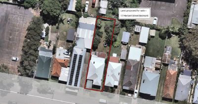 Lake councillors to consider land clearance following review of holdings