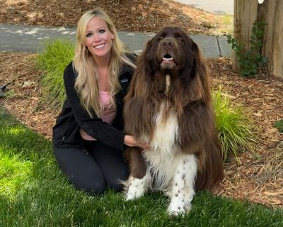 The pet I’ll never forget: Chewy the dog, who loves gardening – and saving lives