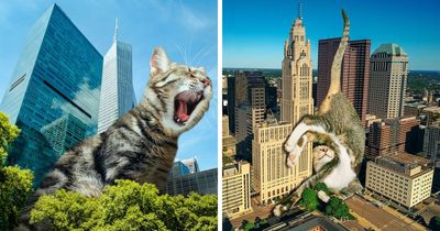 This Artist Continues His Giant-Cat Takeover With 30 New Surreal Digital Collages