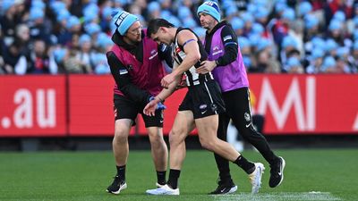 'More extreme': Pies brace for Maynard shoulder pain