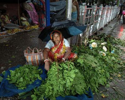 Weather tracker: Monsoon season brings vital rainfall to parts of Asia