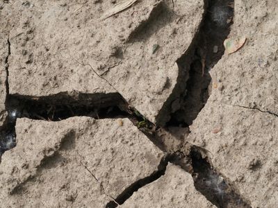 How Many Died in the Philippines Earthquake: Police Confirm 19 Fatalities