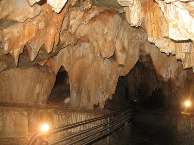 14,400 years ago, five people and a canid entered an Italian cave using pine twigs for light