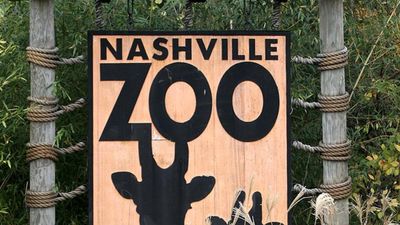 Nashville Zoo Calls To Block 69,000 Sq Ft AI Data Centre Over Fears For Animal and Environmental Safety