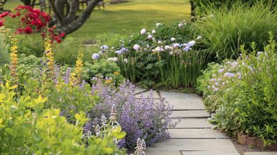 The Expert Landscaping Tricks That Keep Fast-Growing Gardens Balanced, Beautiful, and Low-Maintenance