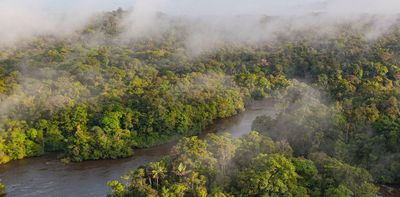 Great mysteries of archaeology: an ancient Amazonian world revealed from the sky