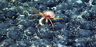 Mining companies may soon bypass UN rules and mine the deep sea