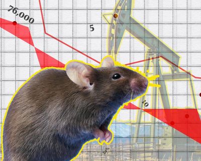 The Crunch: Disappearing Aussie music, mouse plagues and the secrets of traffic lights