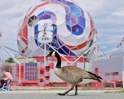 It’s World Cup week – will the hope, memes and dreams be as good as it gets?