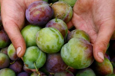 Why your five-a-day diet could be missing a key heart health nutrient
