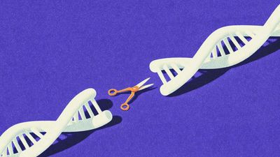 New Embryo Editing Technique Takes Us a Step Closer to Designing Babies Without Disease