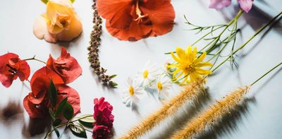 Can stimulating the sense of smell be beneficial for the brain?