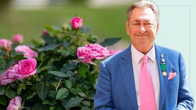 Alan Titchmarsh says you need to feed 'greedy' roses with fruitcake-textured compost to achieve incredible blooms