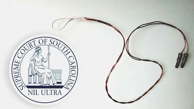 Penis Measurements Cannot Justify a Sex Offender's Indefinite Detention, South Carolina's Top Court Says