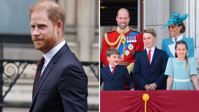 Prince Harry was 'always concerned' about being 'overshadowed' by William’s children, claims Princess Diana's biographer