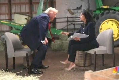 ‘Went from orange to red’: Lawmakers and pundits shred Trump over NBC interview tantrum