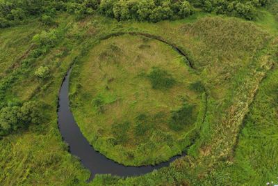 Survey launched after 'Eye' island photo posts go viral