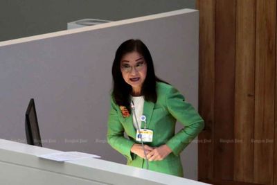 Senator grills DES over AI scheme