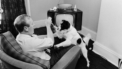 The Dog Who Saved the 1966 World Cup: Pickles and the Stolen Trophy