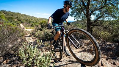 Are you using the right MTB tyres for the riding you do? Here's everything you need to know to get the perfect tyre setup
