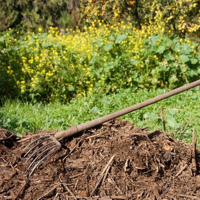 I protected my new build garden from waterlogging with this smart soil improver tactic – two years on, it's been a lifesaver