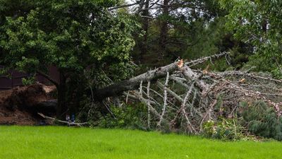 Storm pounds NZ capital, cancelling flights and ferries