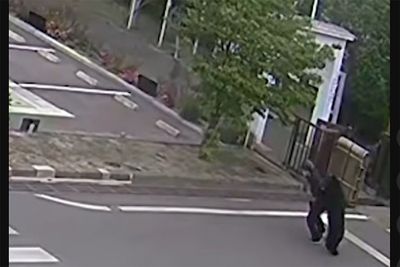 Bear hunt continues as Japanese city shuts schools for second day